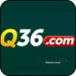 Q36 Game